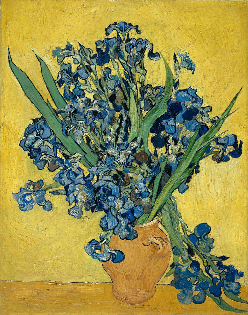 Vincent van Gogh Irises - Saint-Rémy-de-Provence - 1890